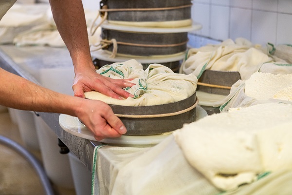 Produzione formaggio